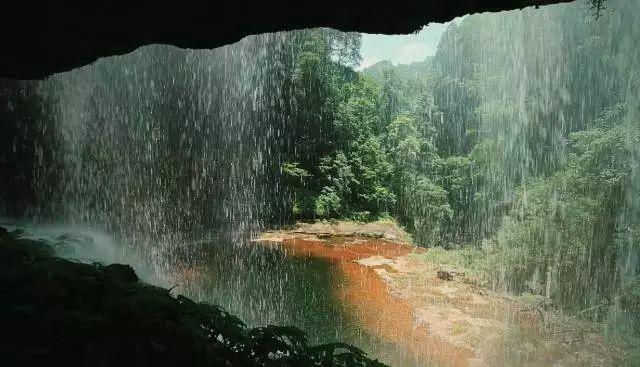 丧尸围城